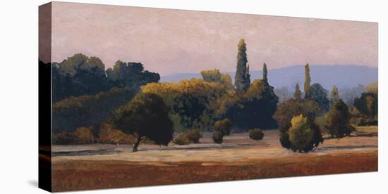 Roussillon-Kent Lovelace-Stretched Canvas