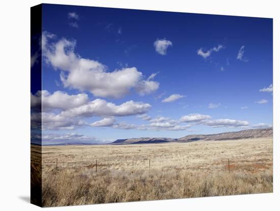 Route 66, Arizona, USA-Julian McRoberts-Premier Image Canvas