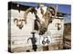 Route 66, Hackberry, Arizona, USA-Julian McRoberts-Premier Image Canvas