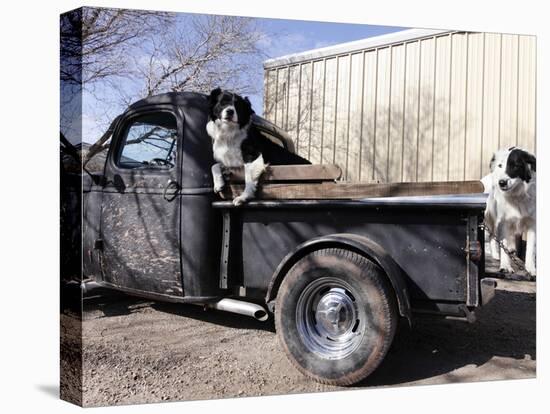 Route 66, Prewitt, New Mexico, USA-Julian McRoberts-Premier Image Canvas