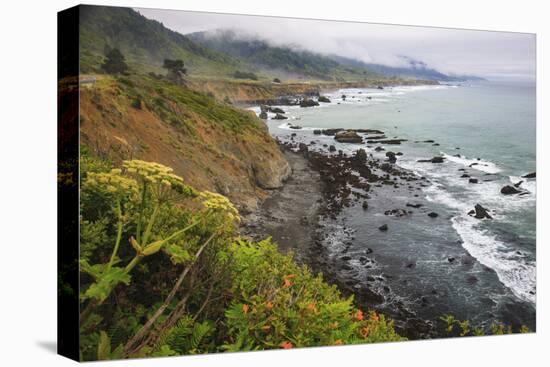 Route One along the Northern California coast. Undulating coastline with craggy rock and foliage.-Mallorie Ostrowitz-Premier Image Canvas