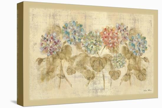 Row of Hydrangea-Cheri Blum-Stretched Canvas