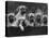 Row of Mastiff Puppies Owned by Oliver-Thomas Fall-Premier Image Canvas