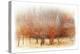 Row of Red Trees-Chris Vest-Premier Image Canvas
