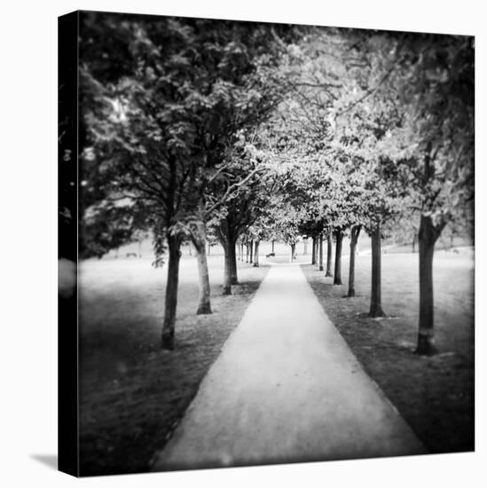 Row of Trees in a Park-Craig Roberts-Premier Image Canvas