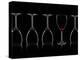 Row of Wine Glasses and a Glass of Red Wine Against a Black Background-Shawn Hempel-Premier Image Canvas