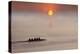 Row,Row,Row Your Boat-Adrian Campfield-Premier Image Canvas