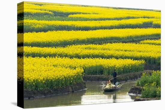 Rowing boat on river through Thousand-Islet canola flower fields, Xinghua, Jiangsu Province, China-Keren Su-Premier Image Canvas