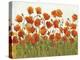 Rows of Poppies I-Tim O'toole-Stretched Canvas