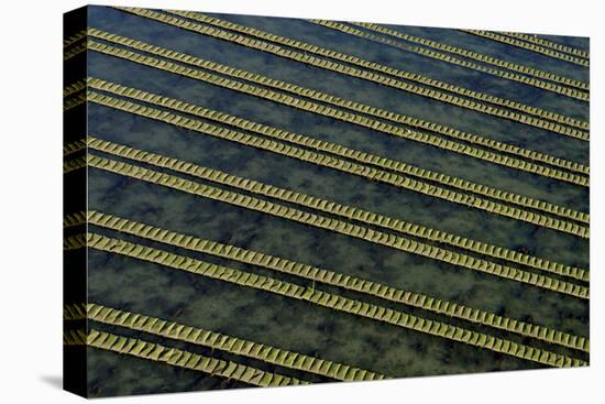Rows of racks used in oyster farming at high tide, Ile de Re, Charente-Maritime, France, July 2017.-Loic Poidevin-Premier Image Canvas