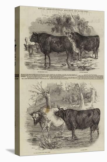 Royal Agricultural Society of England-Harrison William Weir-Premier Image Canvas