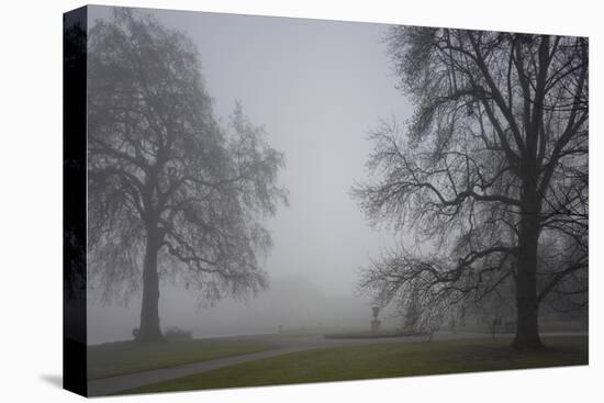 Royal Botanic Gardens, Kew, London. Palm House Obscured by Fog with Winter Trees-Richard Bryant-Premier Image Canvas