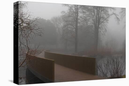 Royal Botanic Gardens, Kew, London. the Sackler Crossing in Fog with Winter Trees-Richard Bryant-Premier Image Canvas