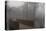 Royal Botanic Gardens, Kew, London. the Sackler Crossing in Fog with Winter Trees-Richard Bryant-Premier Image Canvas