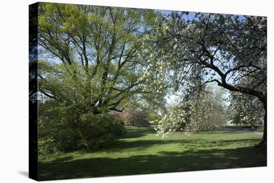 Royal Botanical Gardens, Kew, London. Spring-Richard Bryant-Premier Image Canvas
