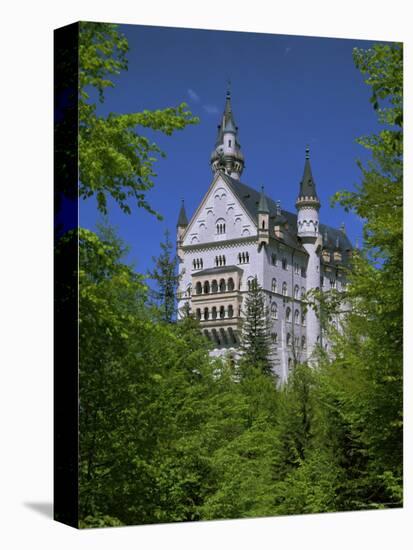 Royal Castle, Neuschwanstein, Bavaria, Germany, Europe-Gavin Hellier-Premier Image Canvas