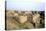 Royal Cemetery, Ur, Iraq, 1977-Vivienne Sharp-Premier Image Canvas