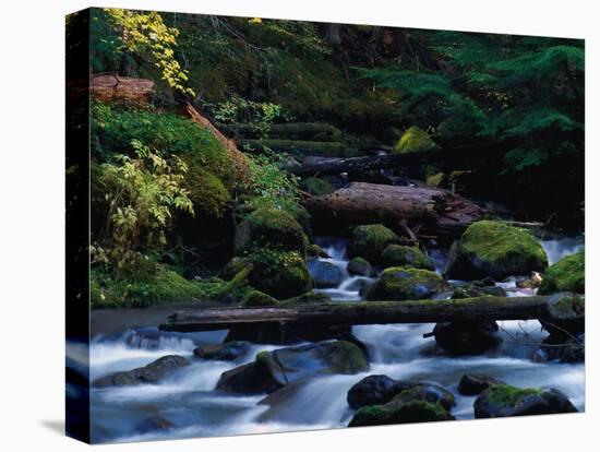 Royal Creek, OR-Frank Staub-Premier Image Canvas