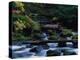 Royal Creek, OR-Frank Staub-Premier Image Canvas