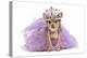 Royal Dog With Crown Isolated-vitalytitov-Premier Image Canvas