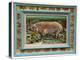 Royal Mangalitzer Pig-Alex Williams-Premier Image Canvas