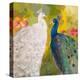 Royal Plumes-Robin Maria-Stretched Canvas