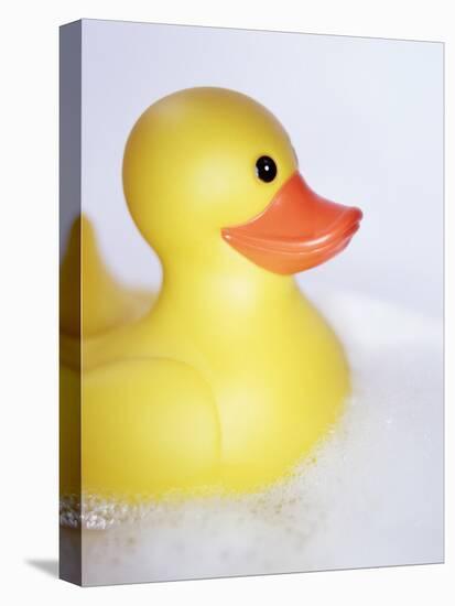 Rubber Duck-Lawrence Lawry-Premier Image Canvas