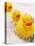 Rubber Ducks in Bath-John Miller-Premier Image Canvas