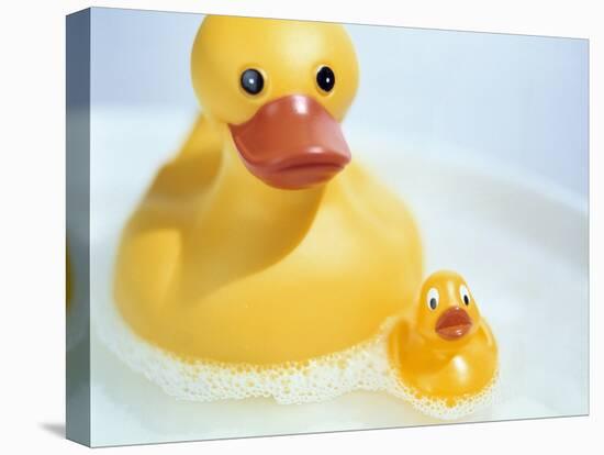 Rubber Ducks-Lawrence Lawry-Premier Image Canvas