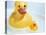 Rubber Ducks-Lawrence Lawry-Premier Image Canvas