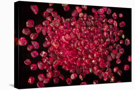 Rubies Panned From River Gravels-Vaughan Fleming-Premier Image Canvas