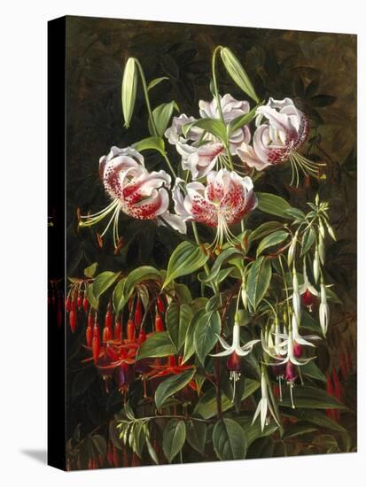 Rubrum Lilies and Fuchsias-Johan Laurentz Jensen-Premier Image Canvas