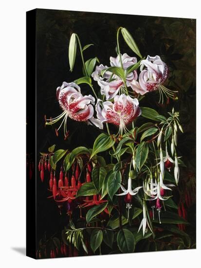 Rubrum Lilies and Fucshias-Johan Laurentz Jensen-Premier Image Canvas
