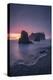 Ruby Beach in sunset-Belinda Shi-Premier Image Canvas