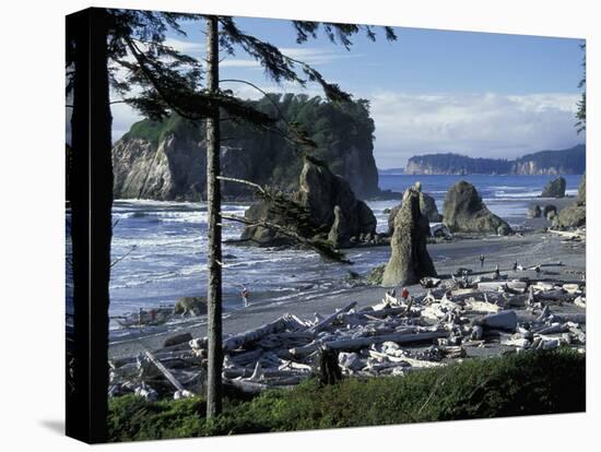 Ruby Beach, Olympic National Park, Washington, USA-William Sutton-Premier Image Canvas