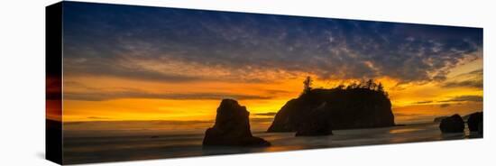 Ruby Beach Olympic National Park-Steve Gadomski-Premier Image Canvas