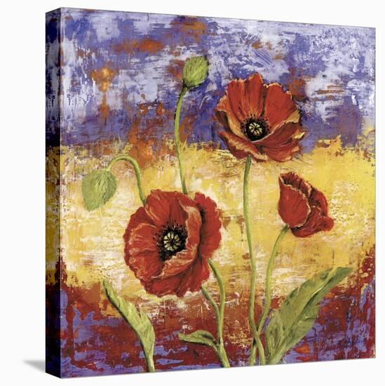Ruby Red Poppies-Tina Chaden-Stretched Canvas