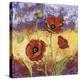 Ruby Red Poppies-Tina Chaden-Stretched Canvas