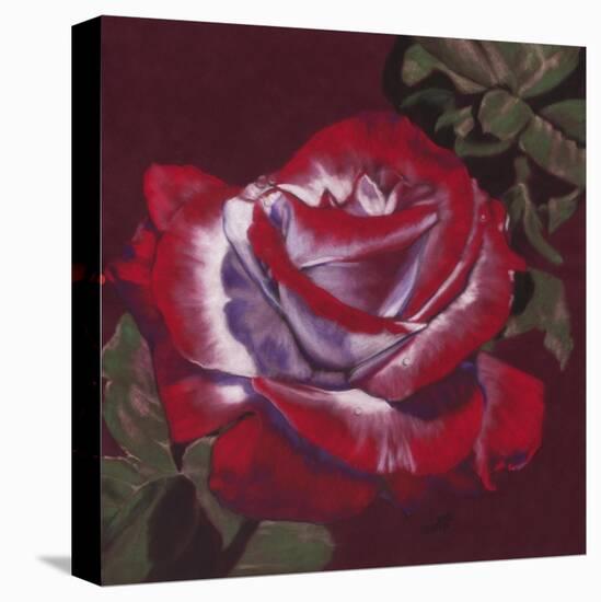 Ruby-Barbara Keith-Premier Image Canvas