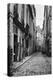 Rue Du Jardinet, from Passage Hautefeuille, Paris, 1858-78-Charles Marville-Premier Image Canvas