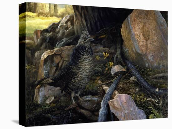 Ruffed Grouse and Trout Lilies-Kevin Dodds-Premier Image Canvas