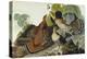 Ruffed Grouse (Tetrao Umbellus), Plate Xli, from 'The Birds of America'-John James Audubon-Premier Image Canvas