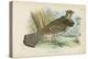 Ruffed Grouse-English School-Premier Image Canvas