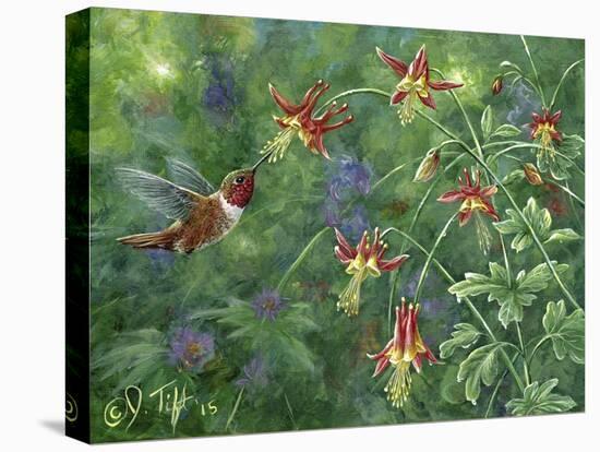 Rufous Hummingbird-Jeff Tift-Premier Image Canvas