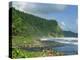 Rugged Coastline with Black Laval Sand Beach, Dominica, Windward Islands, West Indies, Caribbean-Murray Louise-Premier Image Canvas