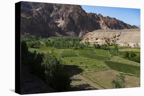 Rugged Landscapes and Green Patchwork Fields Near Shahr-E Zohak, Afghanistan, Asia-Alex Treadway-Premier Image Canvas