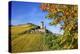 Ruin FŸrstenberg Castle Above the Town Rheindiebach Above Autumn-Coloured Vineyards-Uwe Steffens-Premier Image Canvas