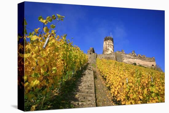 Ruin FŸrstenberg Castle Above the Town Rheindiebach in the Midst of Autumn-Coloured Vineyards-Uwe Steffens-Premier Image Canvas