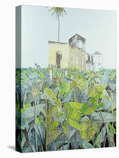 Ruin in a Swamp, Haiti, 1971-James Reeve-Premier Image Canvas