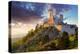 Ruin of Castle Cachtice - Slovakia-TTstudio-Premier Image Canvas